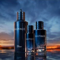 Dior Sauvage Parfum -Dior Sales Shop unnamed file 1047