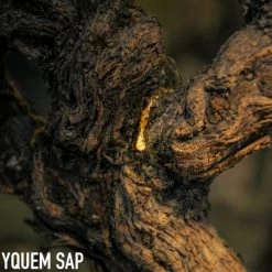 Dior L'or De Vie La Crème Riche Anti-Aging Face Cream -Dior Sales Shop unnamed file 1185