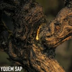 Dior L'Or De Vie La Crème Riche Refill -Dior Sales Shop unnamed file 1436