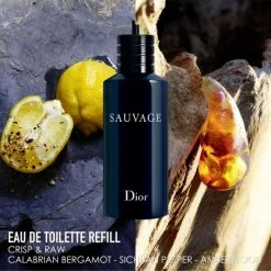 Dior Sauvage Eau De Toilette Refill -Dior Sales Shop unnamed file 1568
