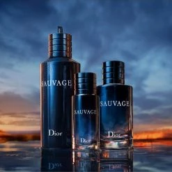 Dior Sauvage Eau De Toilette Refill -Dior Sales Shop unnamed file 1570