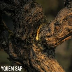 Dior L'Or De Vie La Crème - Refill 12 Dior L'Or De Vie La Crème - Refill -Dior Sales Shop unnamed file 1652