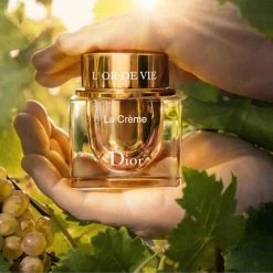 Dior L'Or De Vie La Crème - Refill 14 Dior L'Or De Vie La Crème - Refill -Dior Sales Shop unnamed file 1654