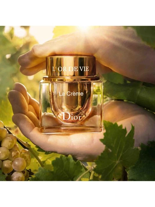 Dior L'Or De Vie La Crème - Refill 8 Dior L'Or De Vie La Crème - Refill - Image 6
