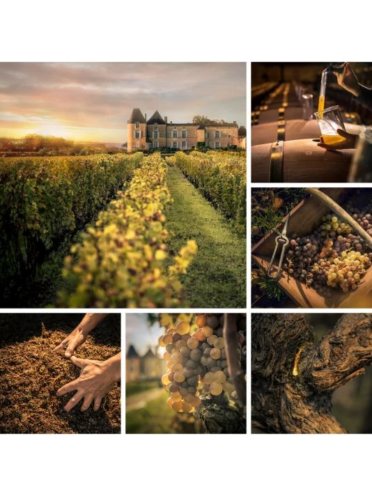 Dior L'Or De Vie La Crème - Refill 9 Dior L'Or De Vie La Crème - Refill - Image 7