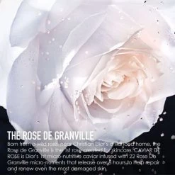 Dior Le Micro-Caviar De Rose 10 Dior Le Micro-Caviar De Rose -Dior Sales Shop unnamed file 1991