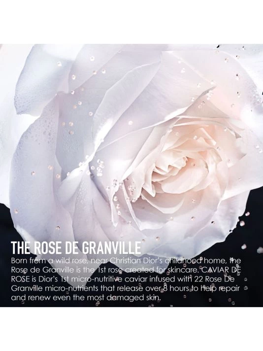 Dior Le Micro-Caviar De Rose 6 Dior Le Micro-Caviar De Rose - Image 4