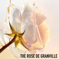 Dior Prestige Micellar Mousse -Dior Sales Shop unnamed file 410