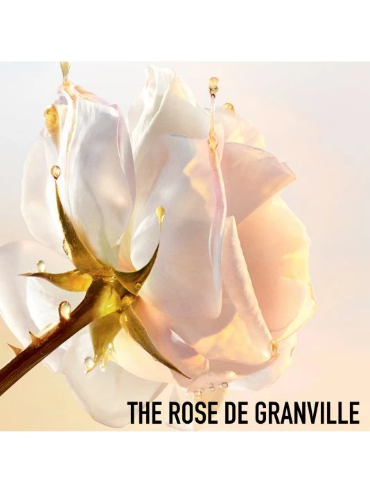 Dior Prestige Sugar Scrub 7 Dior Prestige Sugar Scrub - Image 5