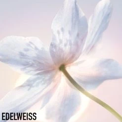 Diorsnow Essence Of Light Lock & Reflect Creme Face Moisturizer 12 Diorsnow Essence Of Light Lock & Reflect Creme Face Moisturizer -Dior Sales Shop unnamed file 748