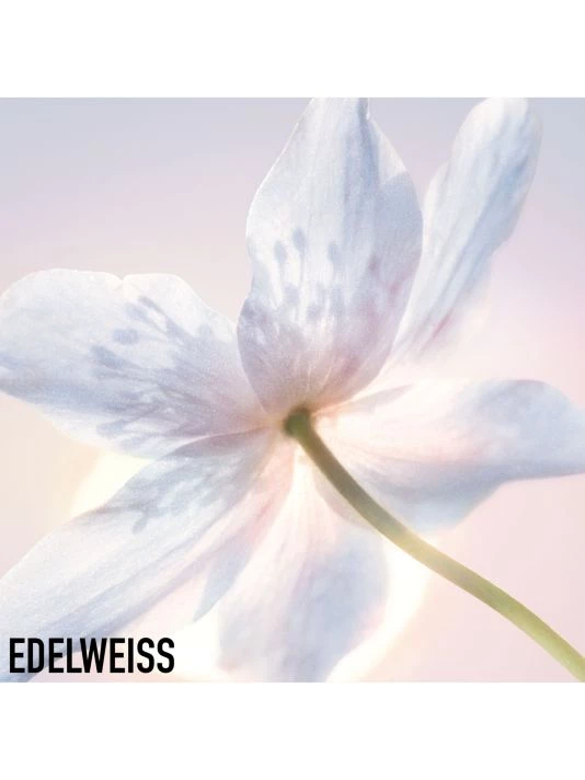 Diorsnow Essence Of Light Lock & Reflect Creme Face Moisturizer 7 Diorsnow Essence Of Light Lock & Reflect Creme Face Moisturizer - Image 5