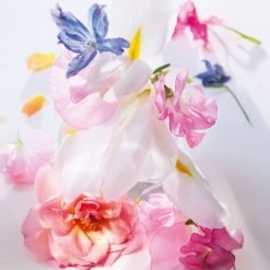 Miss Dior Eau De Parfum -Dior Sales Shop unnamed file 958