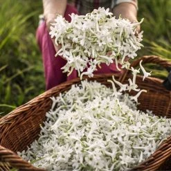 Dior J'adore Eau De Parfum Infinissime 14 Dior J'adore Eau De Parfum Infinissime -Dior Sales Shop unnamed file 967